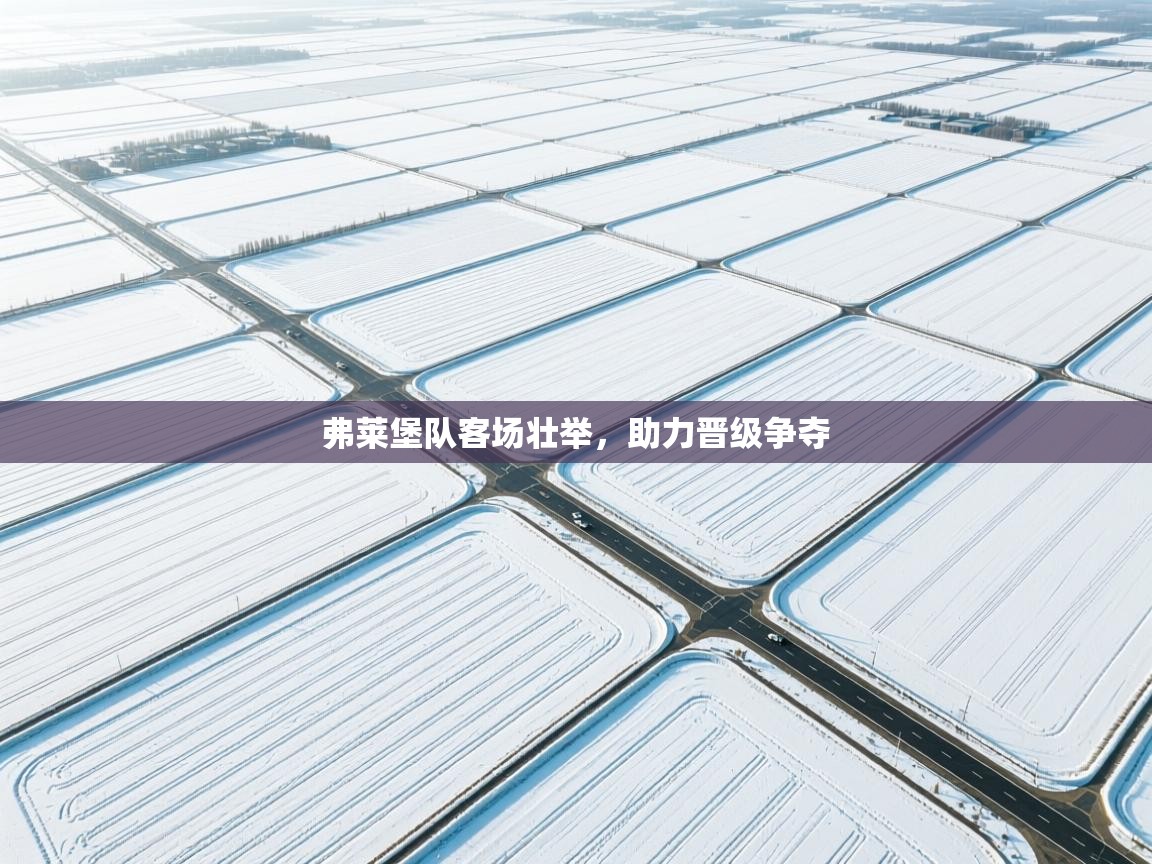 蓝鲸体育官网-弗莱堡队客场壮举，助力晋级争夺  第3张