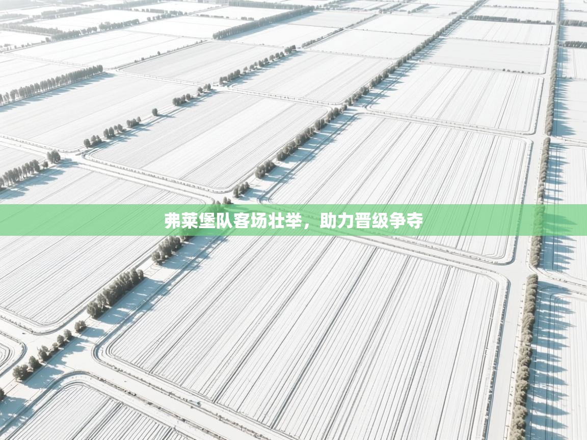 蓝鲸体育官网-弗莱堡队客场壮举，助力晋级争夺  第2张