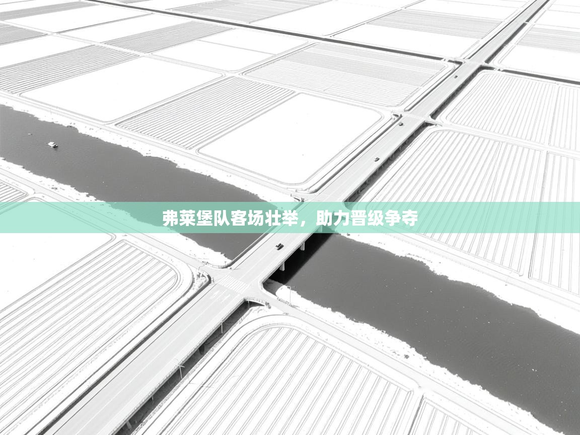 蓝鲸体育官网-弗莱堡队客场壮举，助力晋级争夺  第4张