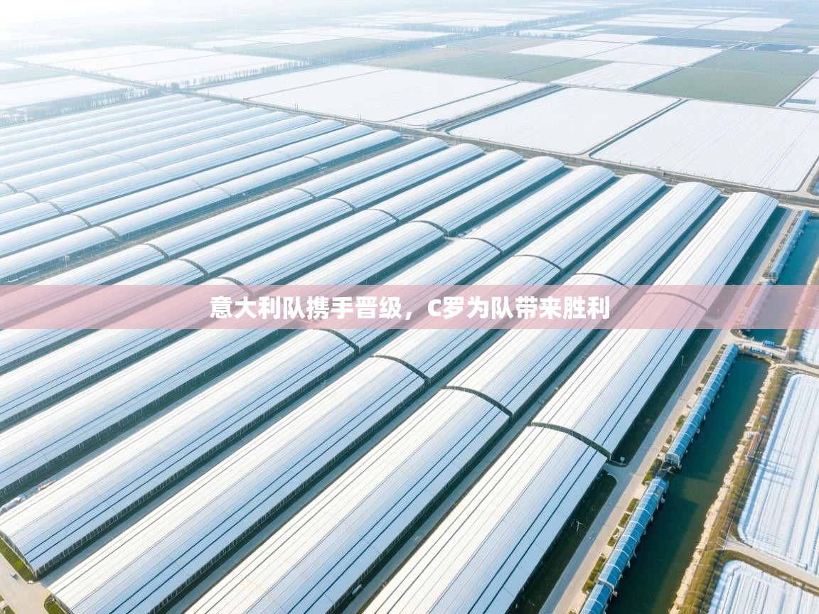 蓝鲸体育在线直播-意大利队携手晋级，C罗为队带来胜利  第1张