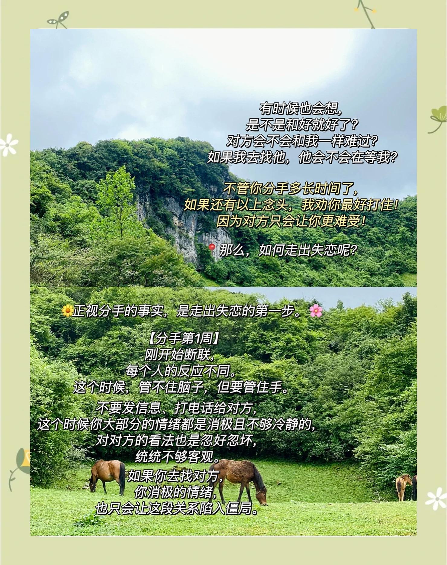 广发体育app官方下载-关于狼队落败后需积极调整走出低谷的信息