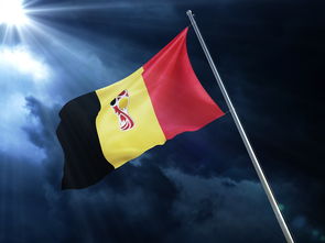 广发体育官网官网-乌克兰队对阵法国，备战进行中，乌克兰vs法国历史战绩